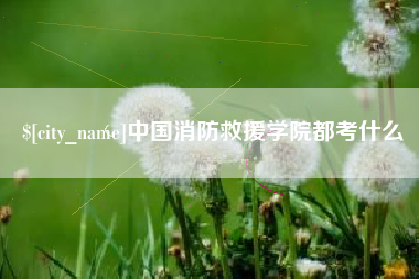 朔州中国消防救援学院都考什么