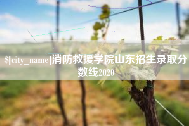朔州消防救援学院山东招生录取分数线2020