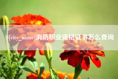 朔州消防职业资格证书怎么查询