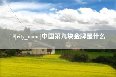 朔州中国第九块金牌是什么
