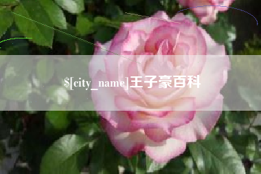朔州王子豪百科