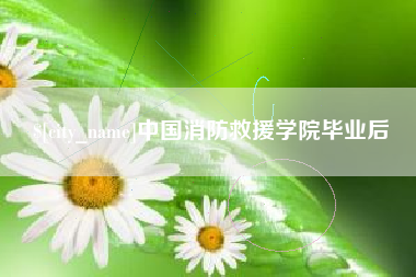 朔州中国消防救援学院毕业后