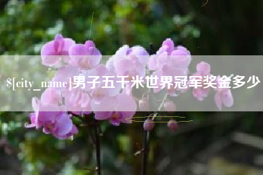 朔州男子五千米世界冠军奖金多少
