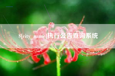 朔州执行公告查询系统