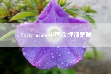 朔州中国金牌都是啥
