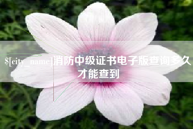 朔州消防中级证书电子版查询多久才能查到