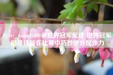 朔州5000米世界冠军配速-世界冠军们往往能在比赛中巧妙地分配体力