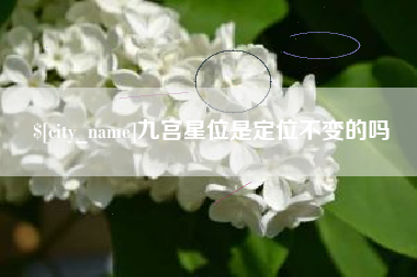 朔州九宫星位是定位不变的吗