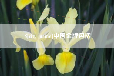朔州中国金牌包括