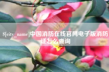 朔州中国消防在线官网电子版消防证怎么查询