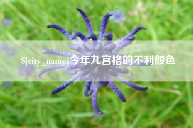 朔州今年九宫格的不利颜色