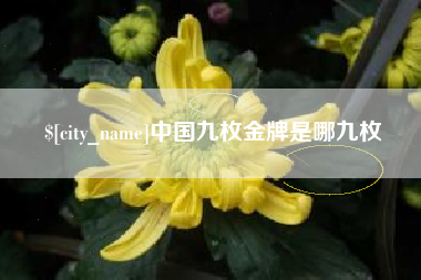朔州中国九枚金牌是哪九枚