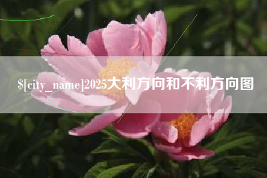 朔州2025大利方向和不利方向图