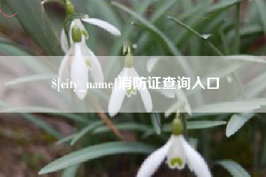 朔州消防证查询入口