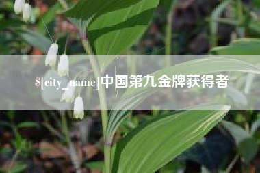 朔州中国第九金牌获得者