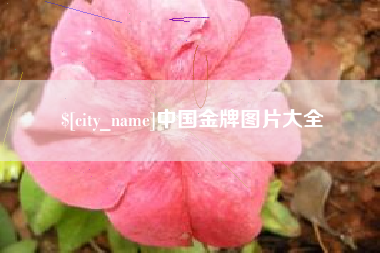 朔州中国金牌图片大全