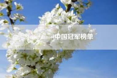 朔州中国冠军榜单