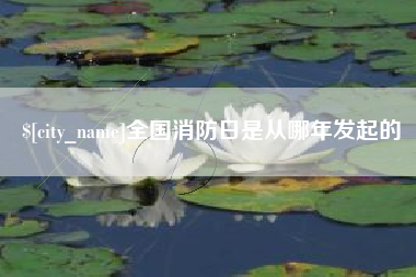 朔州全国消防日是从哪年发起的