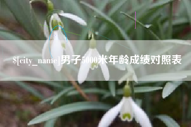 朔州男子5000米年龄成绩对照表