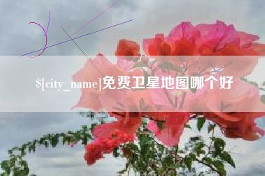 朔州免费卫星地图哪个好