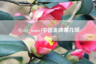 朔州中国金牌哪几项
