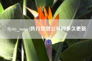 朔州执行信息公开网多久更新