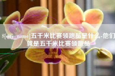 朔州五千米比赛领跑员是什么-他们就是五千米比赛领跑员