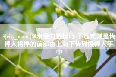 朔州60米接力赛技巧-下压式则是传棒人将棒的前部由上向下传到接棒人手中
