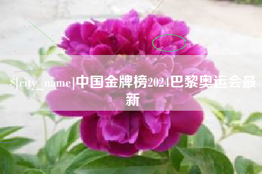朔州中国金牌榜2024巴黎奥运会最新