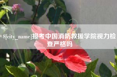 朔州报考中国消防救援学院视力检查严格吗