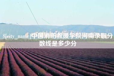 朔州中国消防救援学院河南录取分数线是多少分