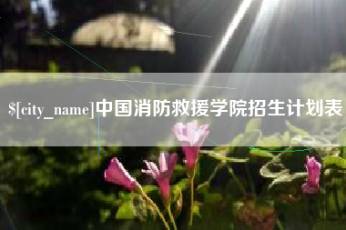 朔州中国消防救援学院招生计划表