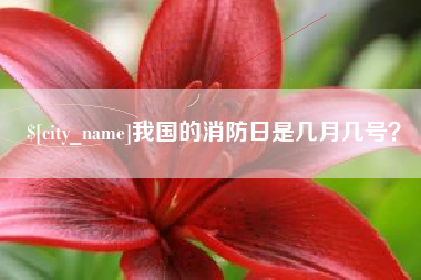 朔州我国的消防日是几月几号？