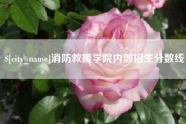 朔州消防救援学院内部招生分数线