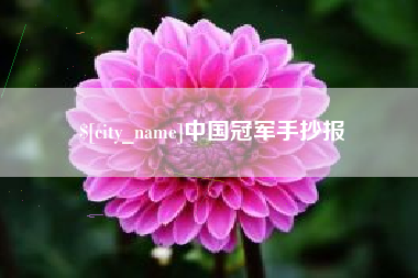 朔州中国冠军手抄报