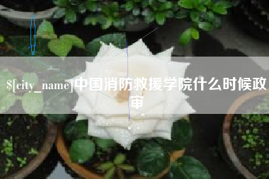 朔州中国消防救援学院什么时候政审
