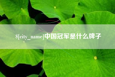 朔州中国冠军是什么牌子
