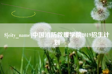 朔州中国消防救援学院2019招生计划