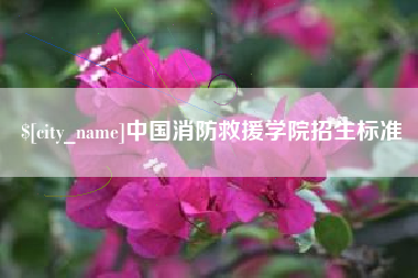 朔州中国消防救援学院招生标准