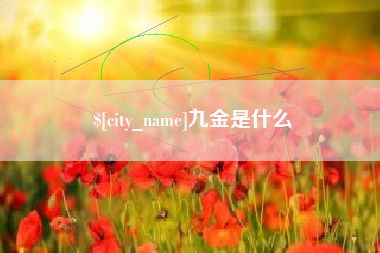 朔州九金是什么