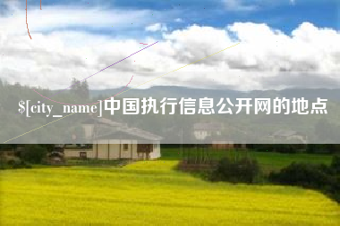 朔州中国执行信息公开网的地点