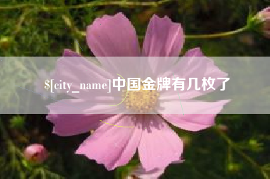 朔州中国金牌有几枚了
