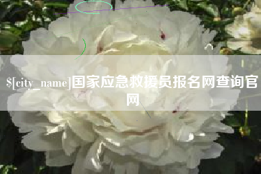 朔州国家应急救援员报名网查询官网