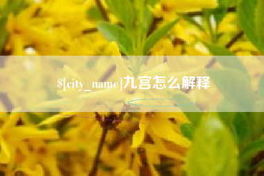 朔州九宫怎么解释