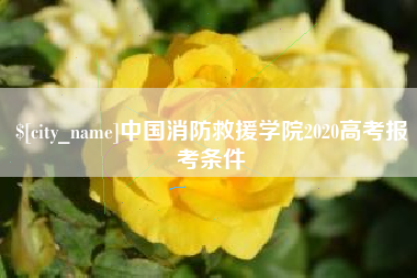 朔州中国消防救援学院2020高考报考条件