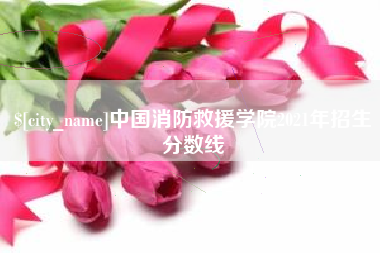 朔州中国消防救援学院2021年招生分数线