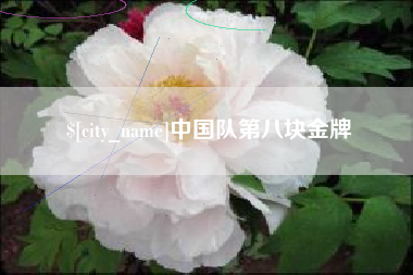 朔州中国队第八块金牌
