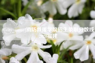 朔州消防救援学院招生录取分数线2020福建