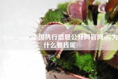 朔州中国执行信息公开网官网app为什么要钱呢