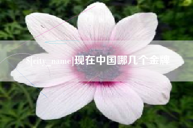 朔州现在中国哪几个金牌